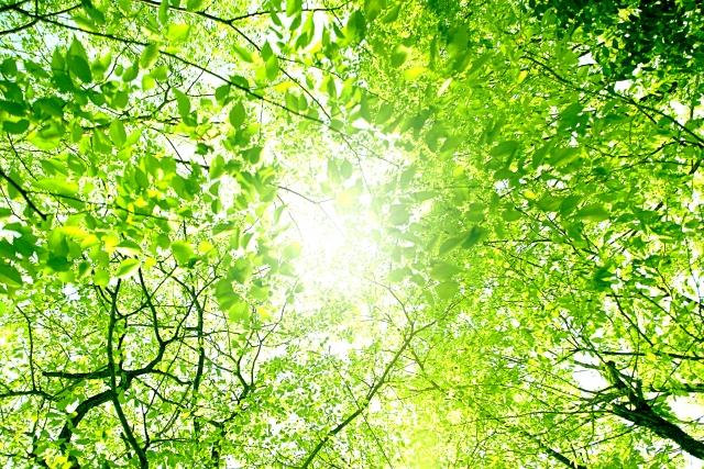 日常生活での注意ポイント